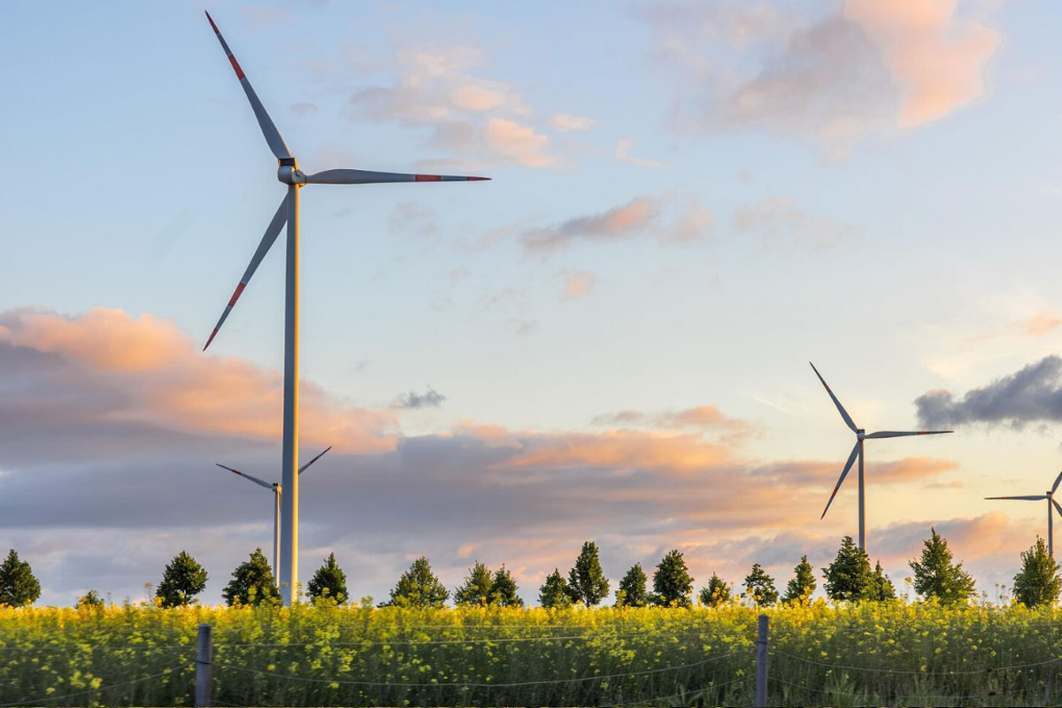 nowoczesne wiatraki na polu rzepaku