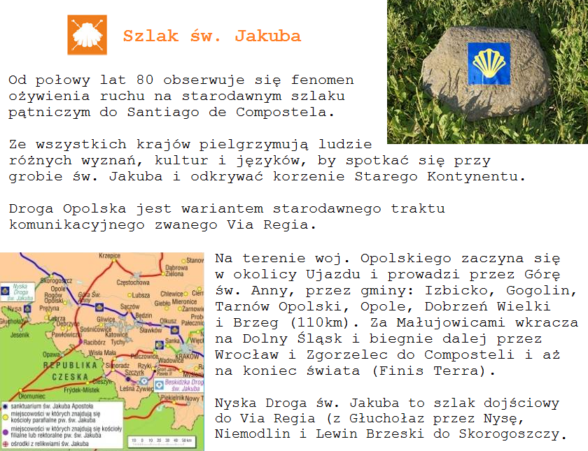 Wykopali drzewka, wyrwali krzewy. Zodzieje upatrzyli sobie zielony up w centrum Izbicka Poznaj ludzi z pasj (artykuy z 2017 r.) W magazynie Reporterskie tu i teraz - Niszcz kapliczki