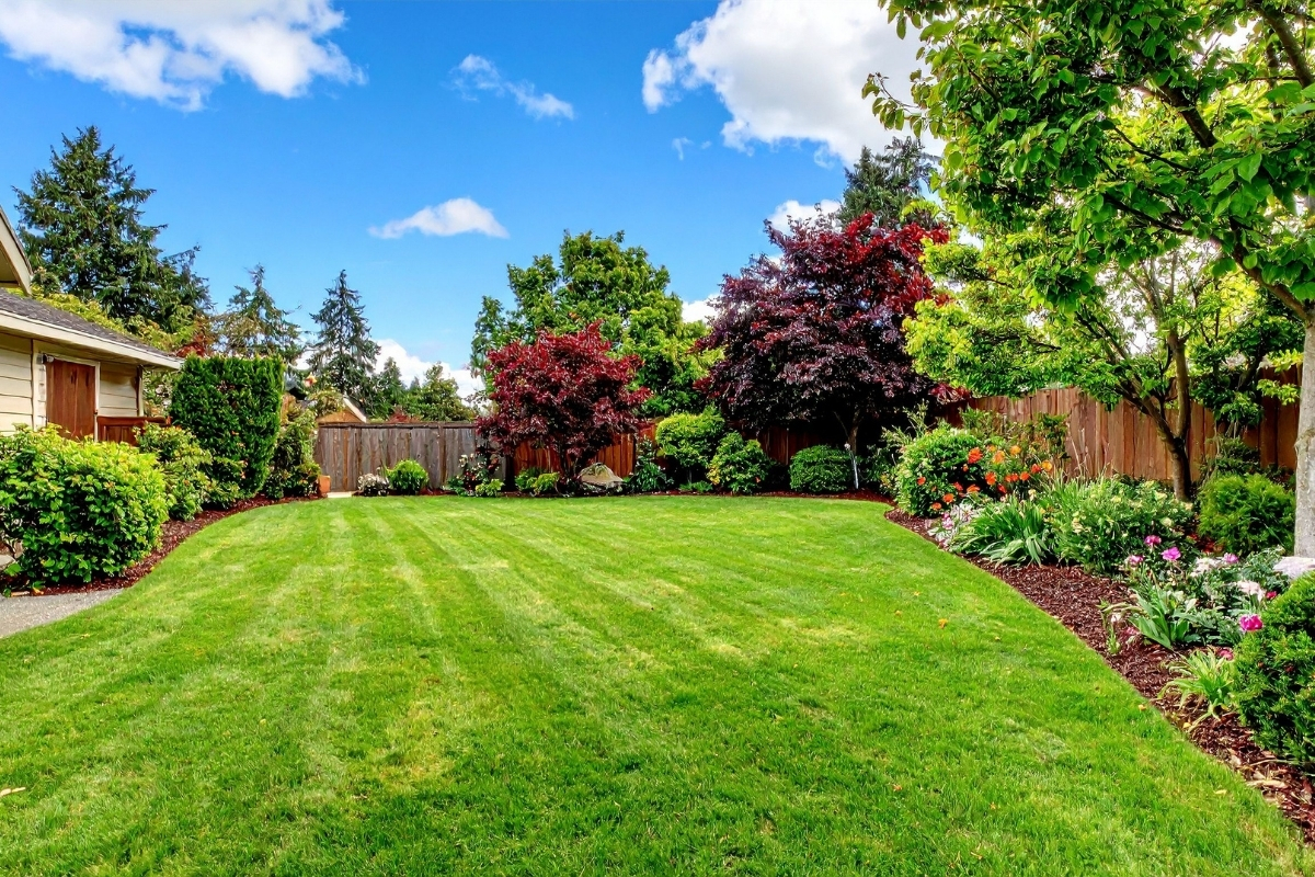 przyroda, kwiaty, ogrody